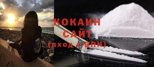 винт Абаза