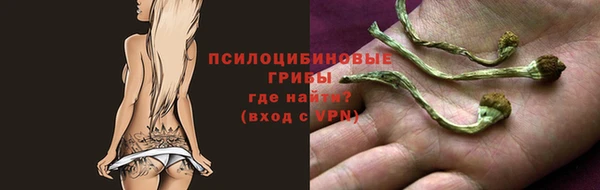 тгк Абдулино
