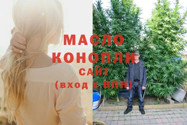 винт Абаза