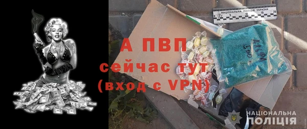 винт Абаза