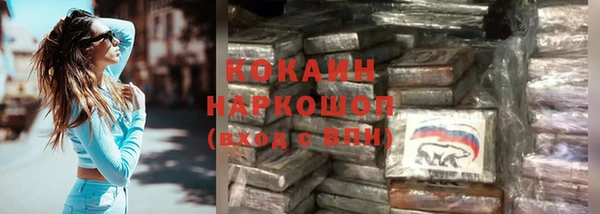 винт Абаза