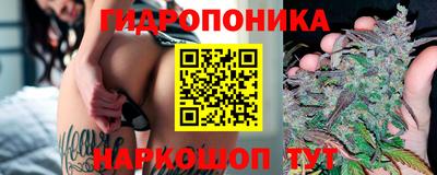 СК Краснознаменск