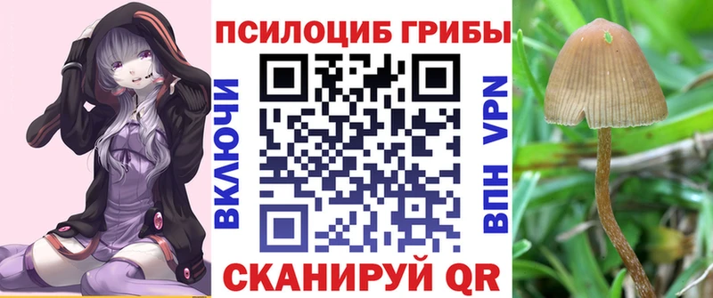 где найти   Костомукша  блэк спрут зеркало  Псилоцибиновые грибы прущие грибы 