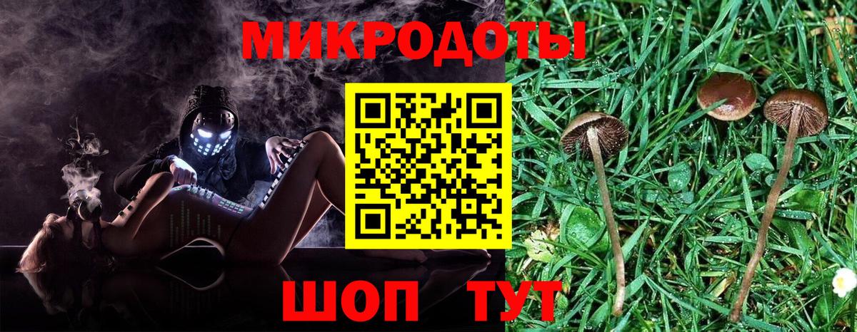 Псилоцибиновые грибы прущие грибы  Вход с VPN  Костомукша 