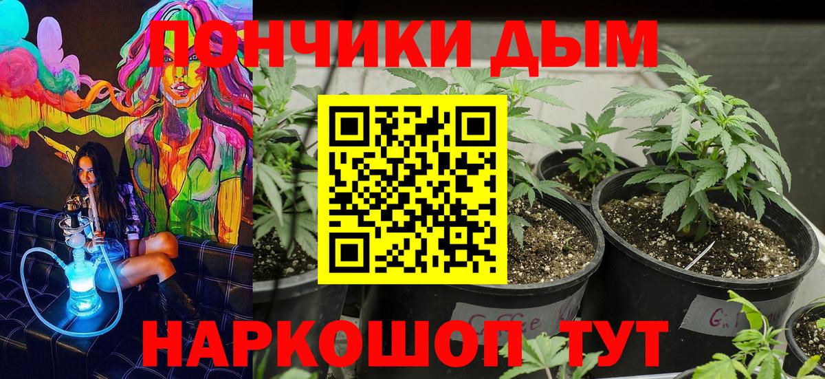 Бошки марихуана тримм Костомукша